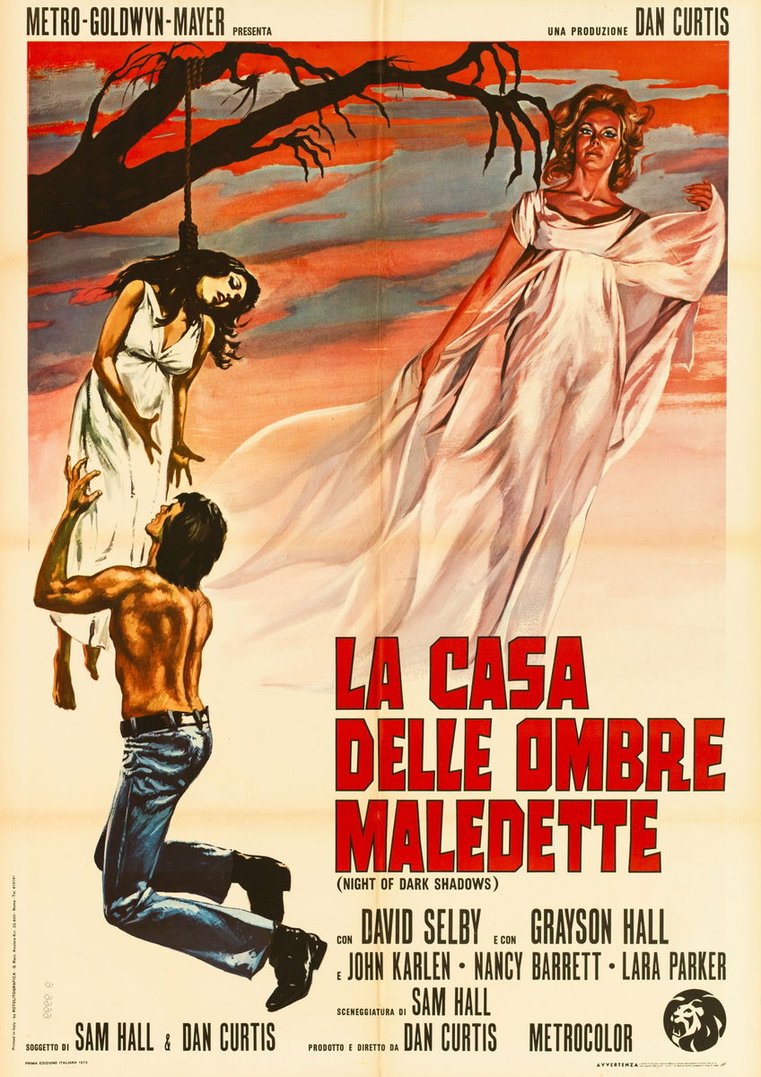 La casa delle ombre maledette - Manifesto 1