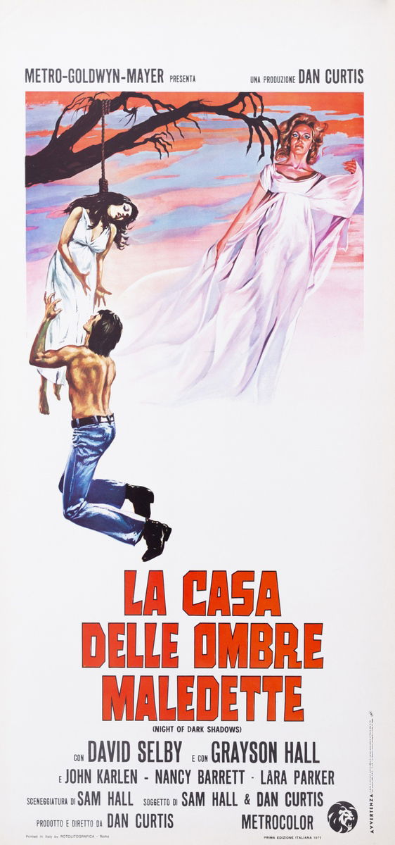 La casa delle ombre maledette - Locandina 1