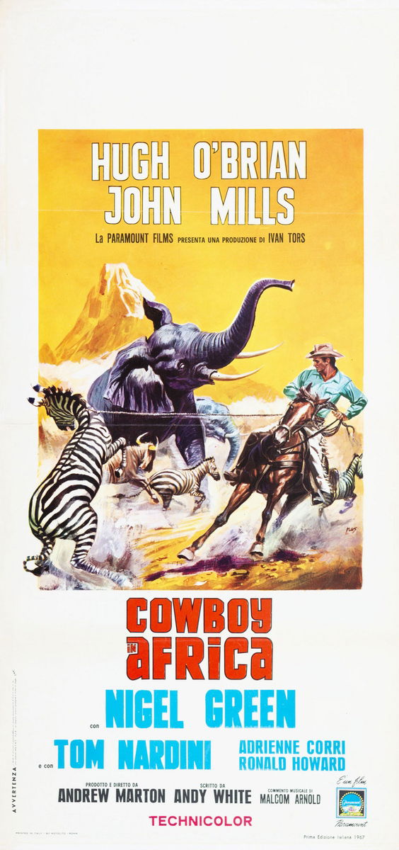 Cowboy in Africa - Locandina 1