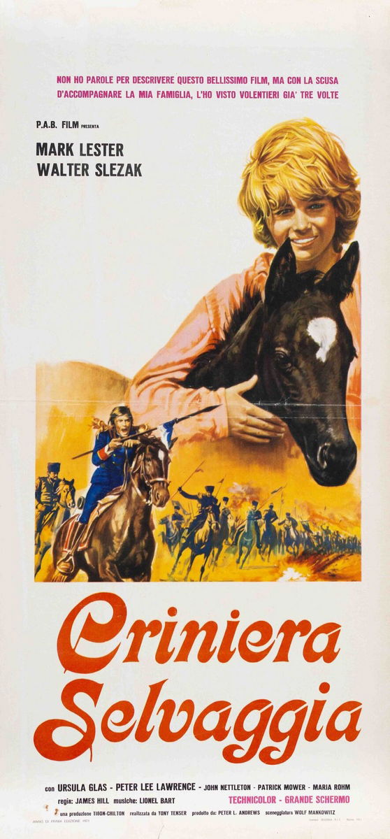 Black Beauty - Lobby Card 1