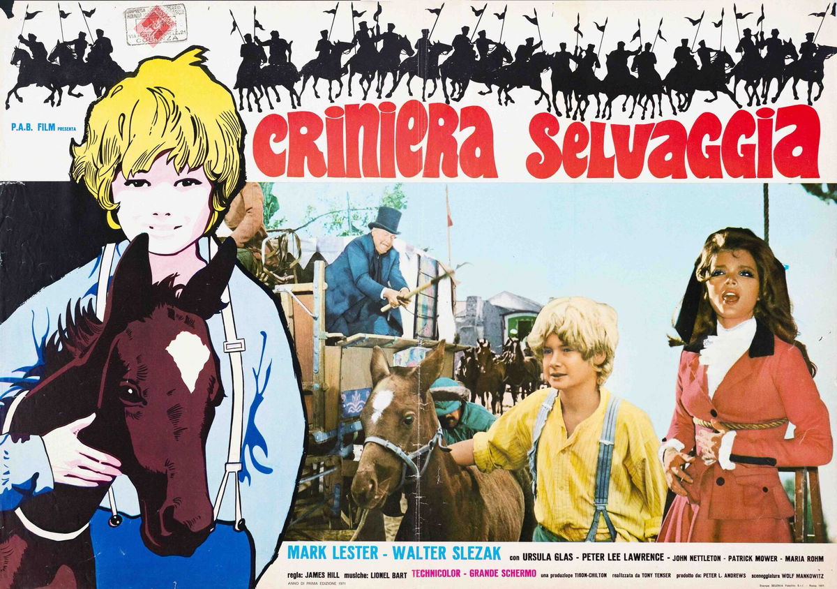 Criniera selvaggia - Fotobusta 1