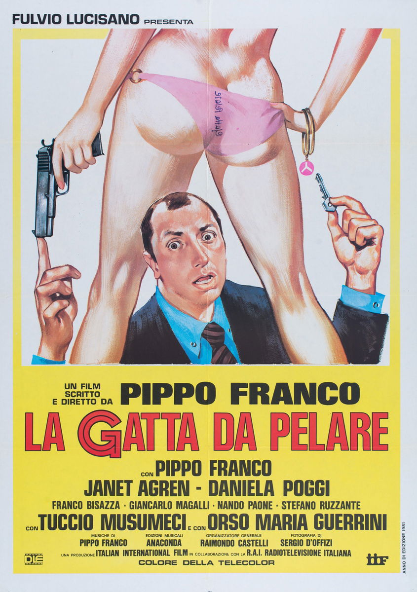 La gatta da pelare - Manifesto 1