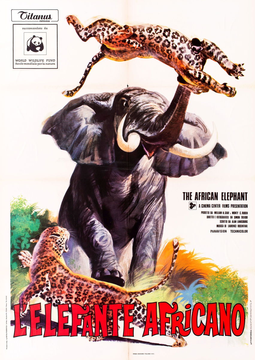 The African Elephant - Manifesto 1