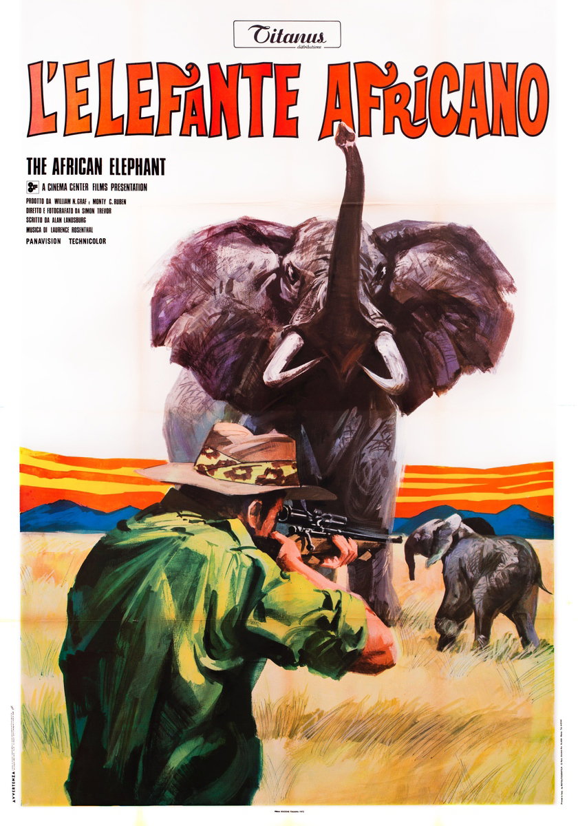 The African Elephant - Manifesto 2
