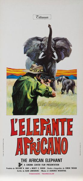 The African Elephant