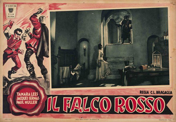 Il falco rosso