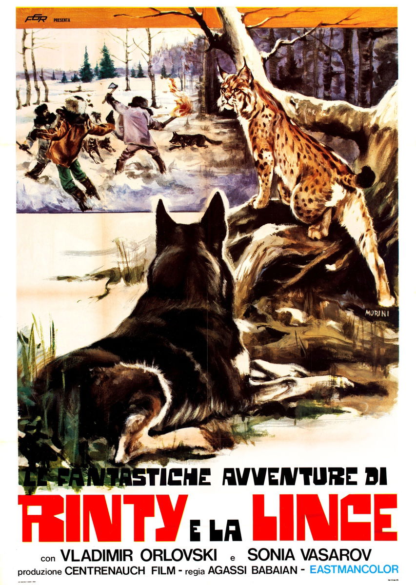 Le fantastiche avventure di Rinty e la lince - Manifesto 1