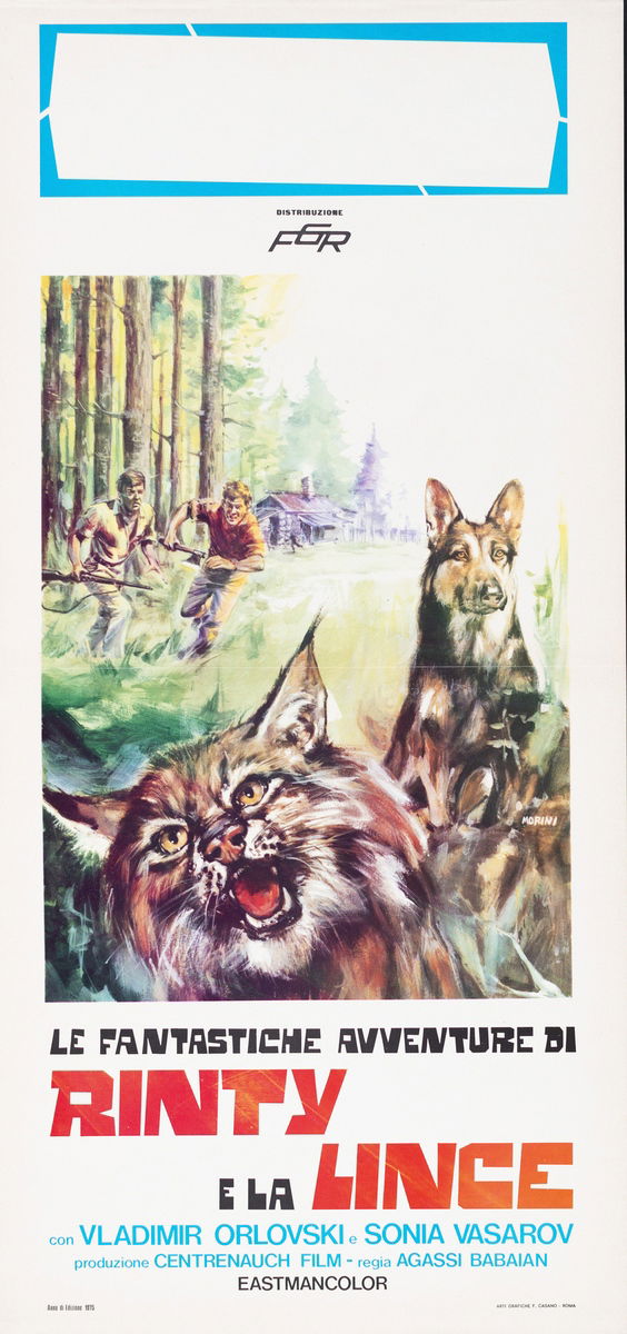 Le fantastiche avventure di Rinty e la lince - Locandina 1
