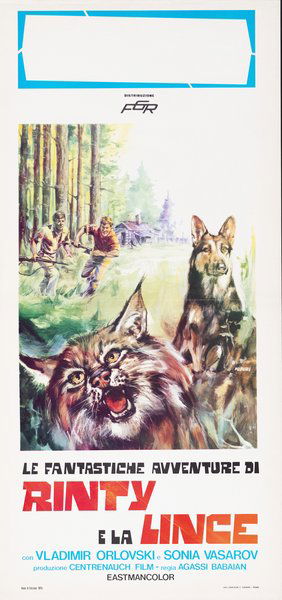 Le fantastiche avventure di Rinty e la lince