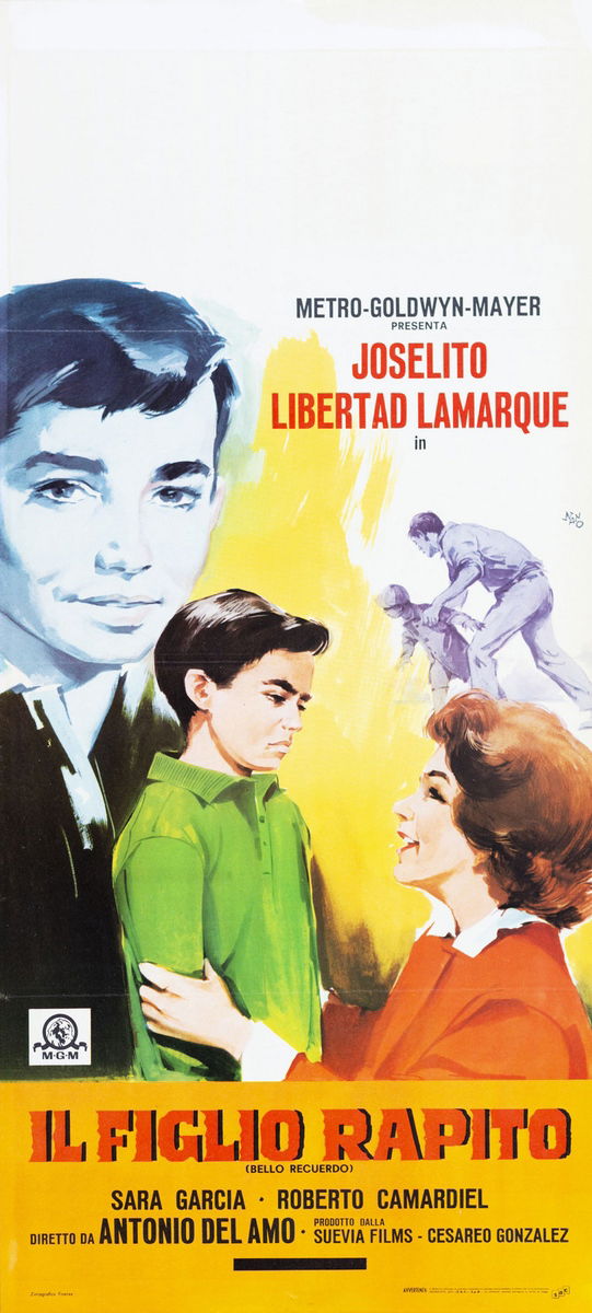 Il figlio rapito - Locandina 1