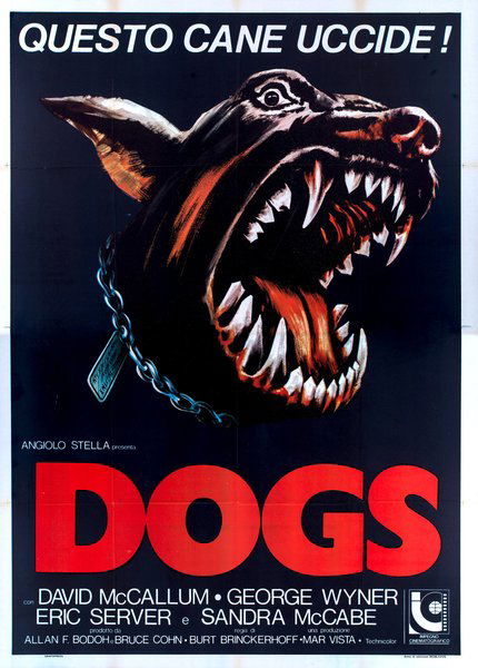 Dogs - Questo cane uccide!