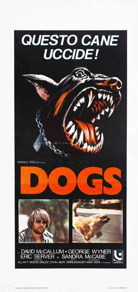 Dogs - Questo cane uccide!