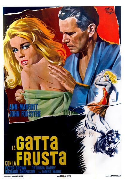 La gatta con la frusta