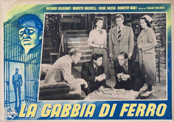 Il gigante della foresta