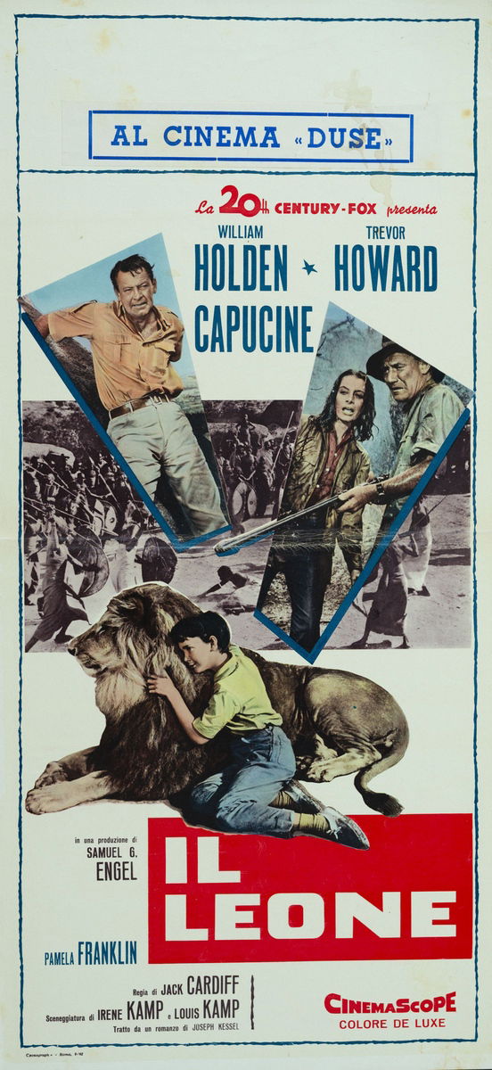 The Lion - Lobby Card 1