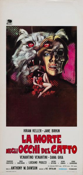 La morte negli occhi del gatto