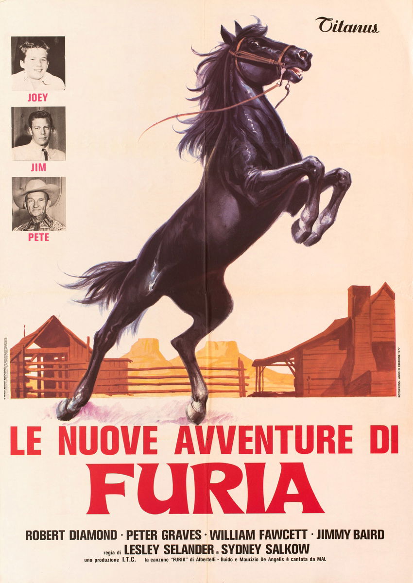 Le nuove avventure di Furia - Poster 1