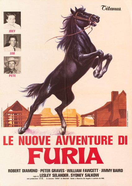 Le nuove avventure di Furia