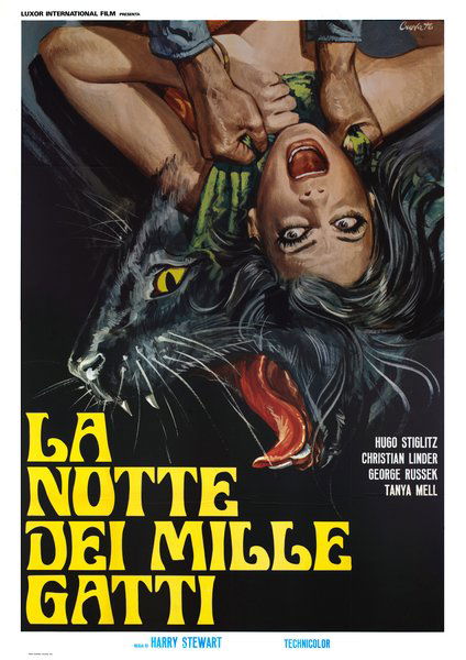 La notte dei mille gatti