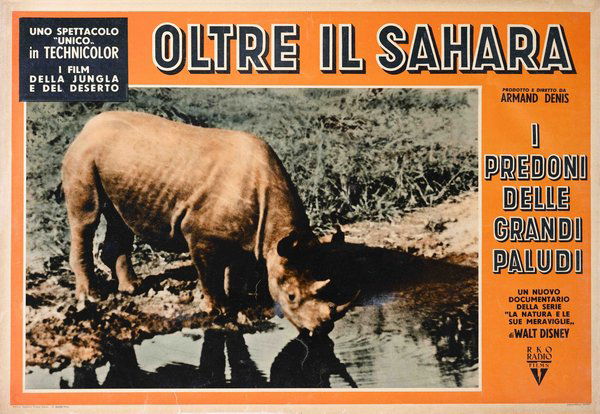Oltre il Sahara
