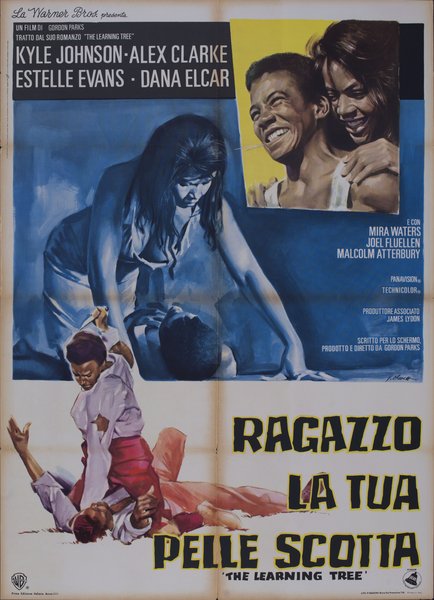 Ragazzo la tua pelle scotta