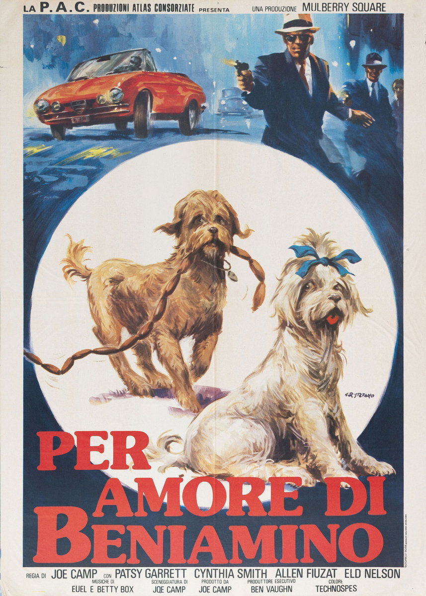 Per amore di Beniamino - Manifesto 2