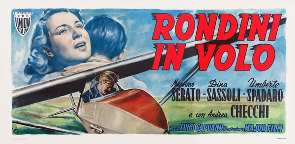 Rondini in volo