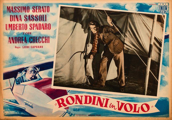 Rondini in volo
