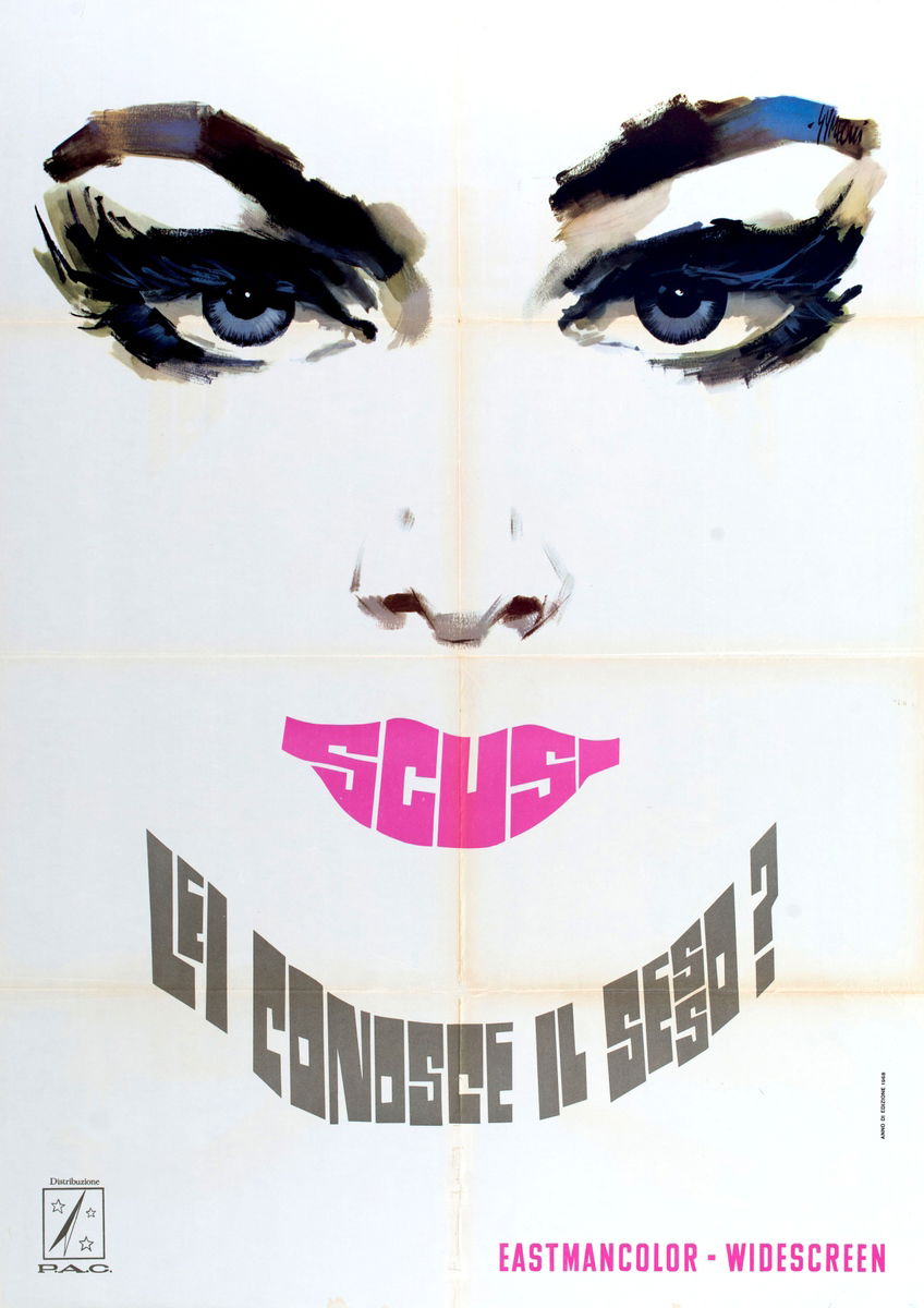 Excuse Me, Do You Like Sex? - Poster 1