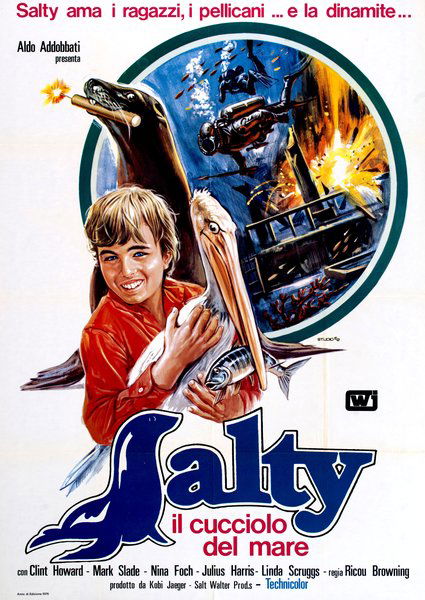 Salty, il cucciolo del mare