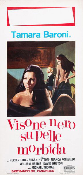 Visone nero su pelle morbida