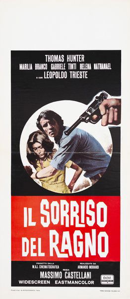 Il sorriso del ragno