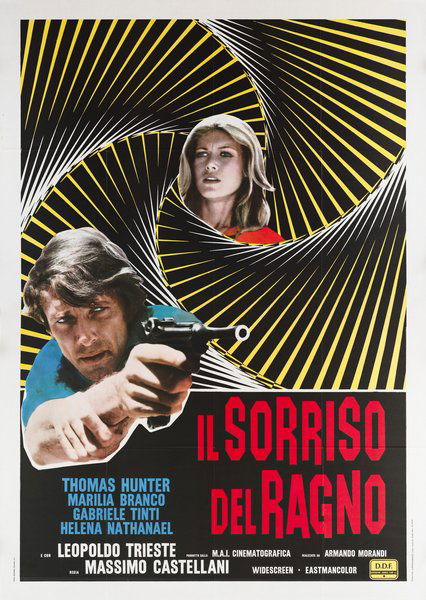 Il sorriso del ragno