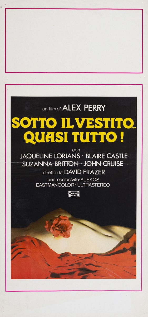 Sotto il vestito quasi tutto! - Locandina 1