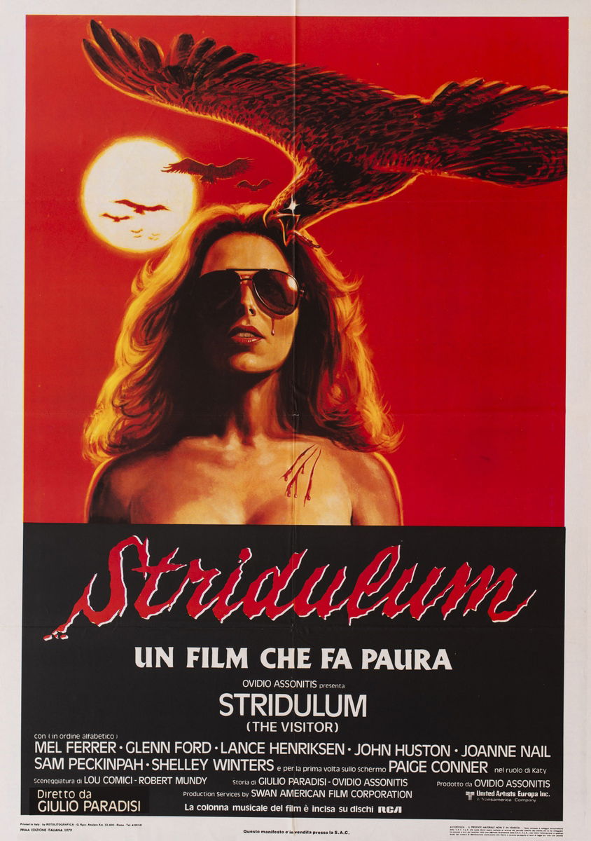 The Visitor - Poster 1