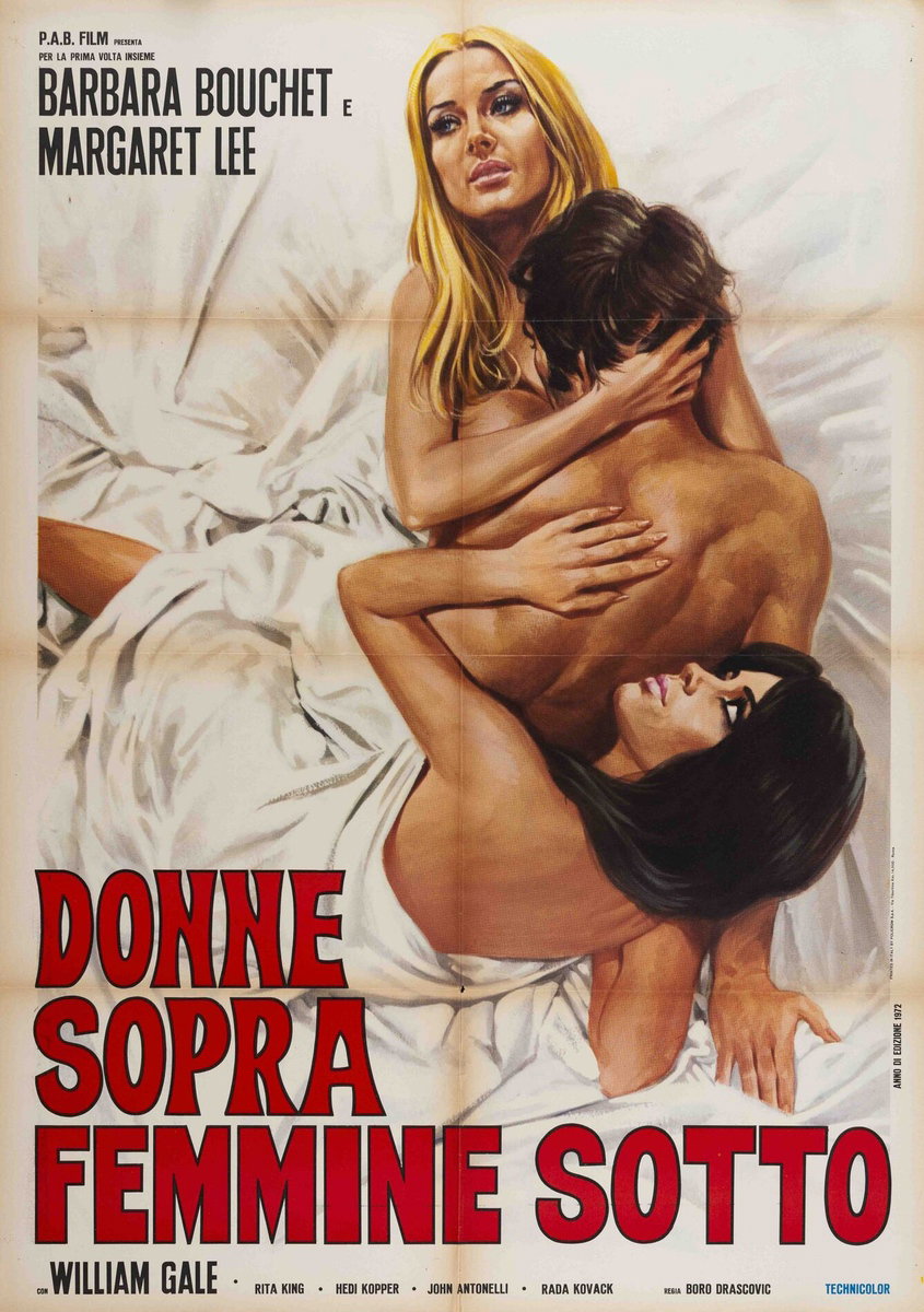 Poster 3 for the film The Rogue (1971)