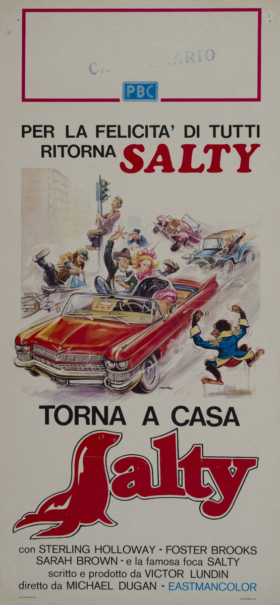 Torna a casa Salty - Lobby Card 1