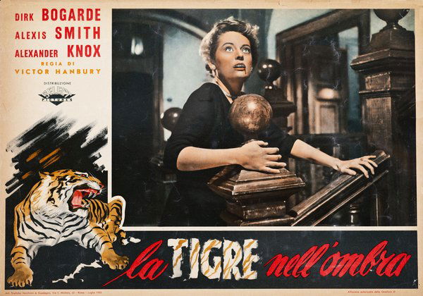 La tigre nell'ombra