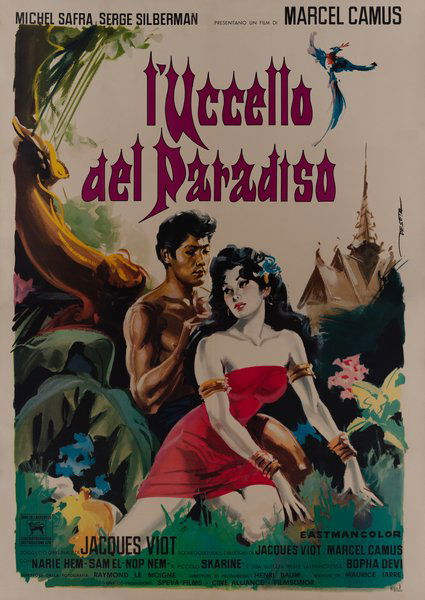 L'uccello del paradiso