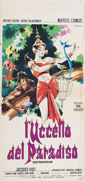 L'uccello del paradiso