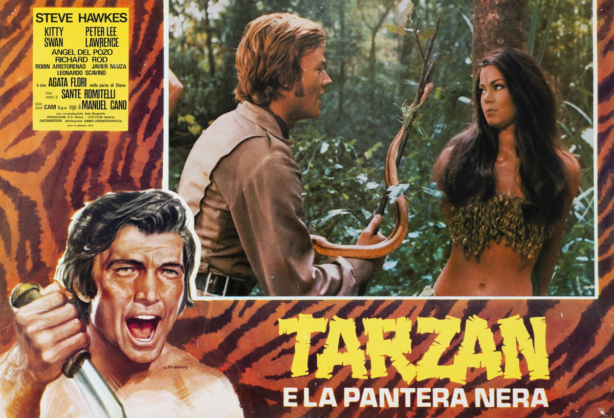 Tarzan e la pantera nera - Fotobusta 1