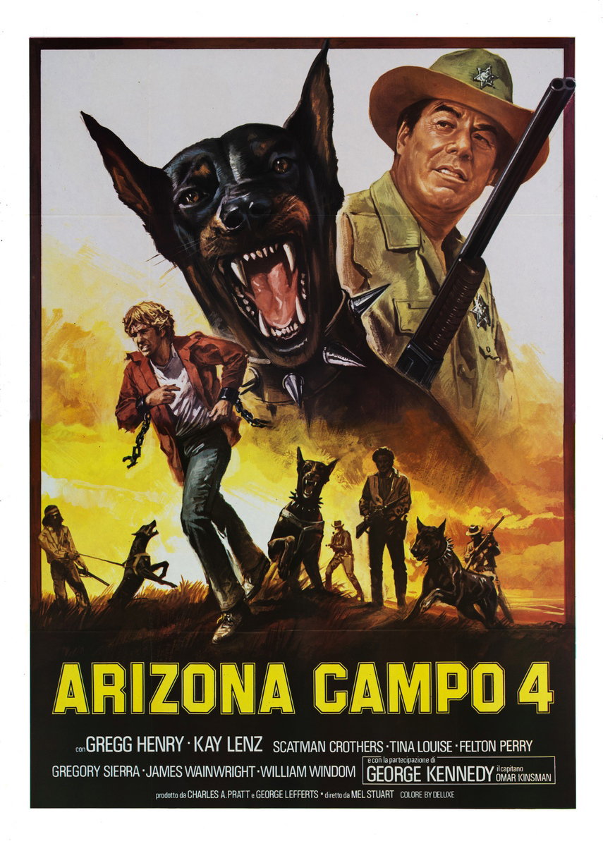 Arizona campo 4 - Manifesto 2