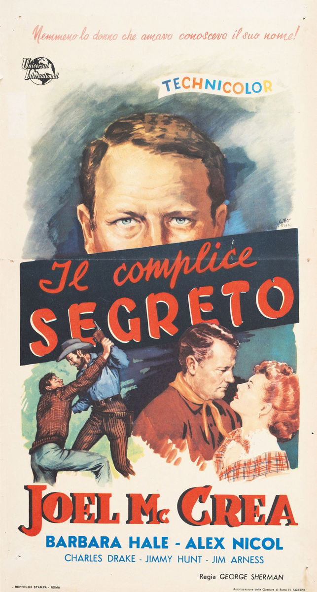 Il complice segreto - Locandina 1