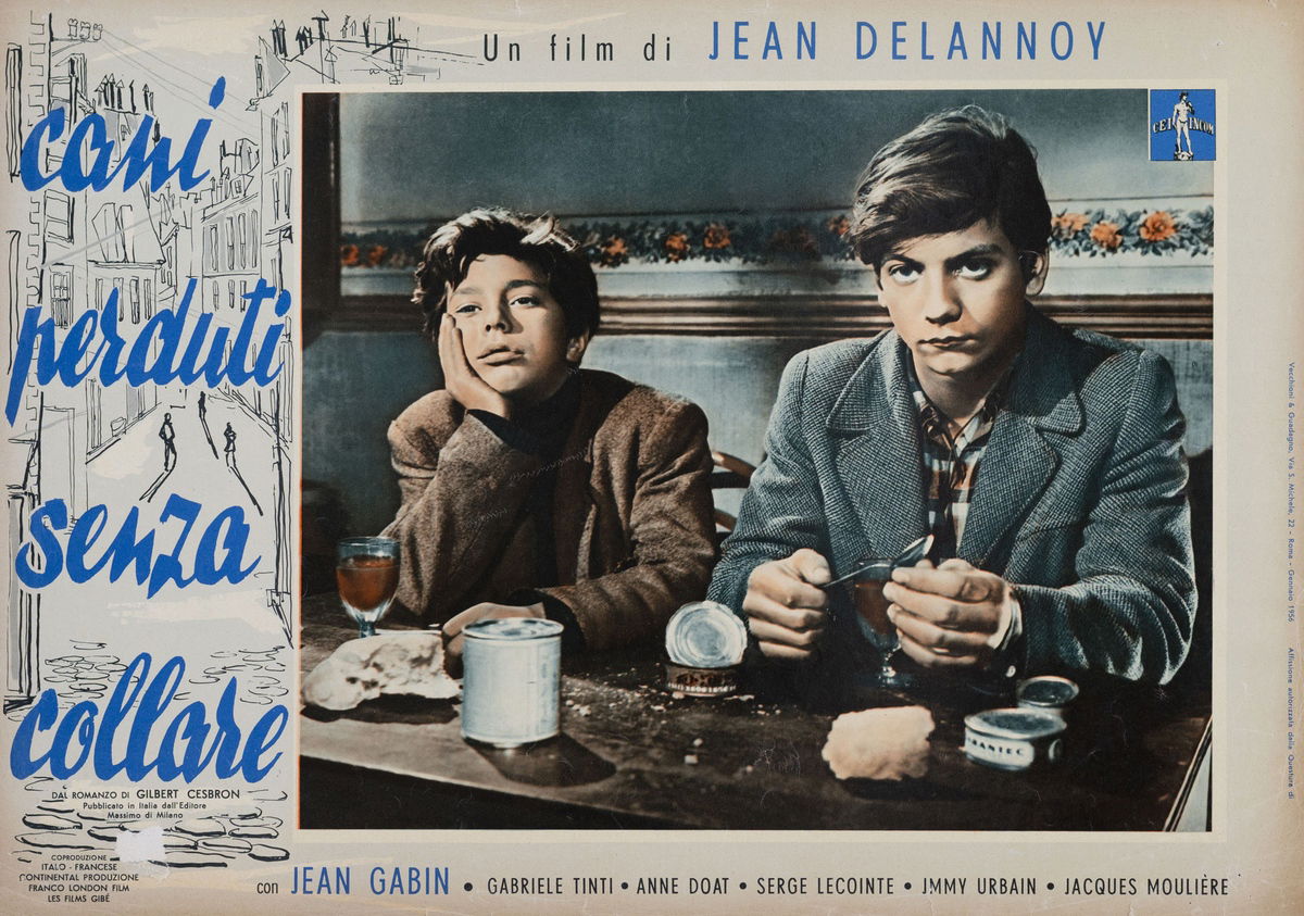 Cani perduti senza collare - Fotobusta 1