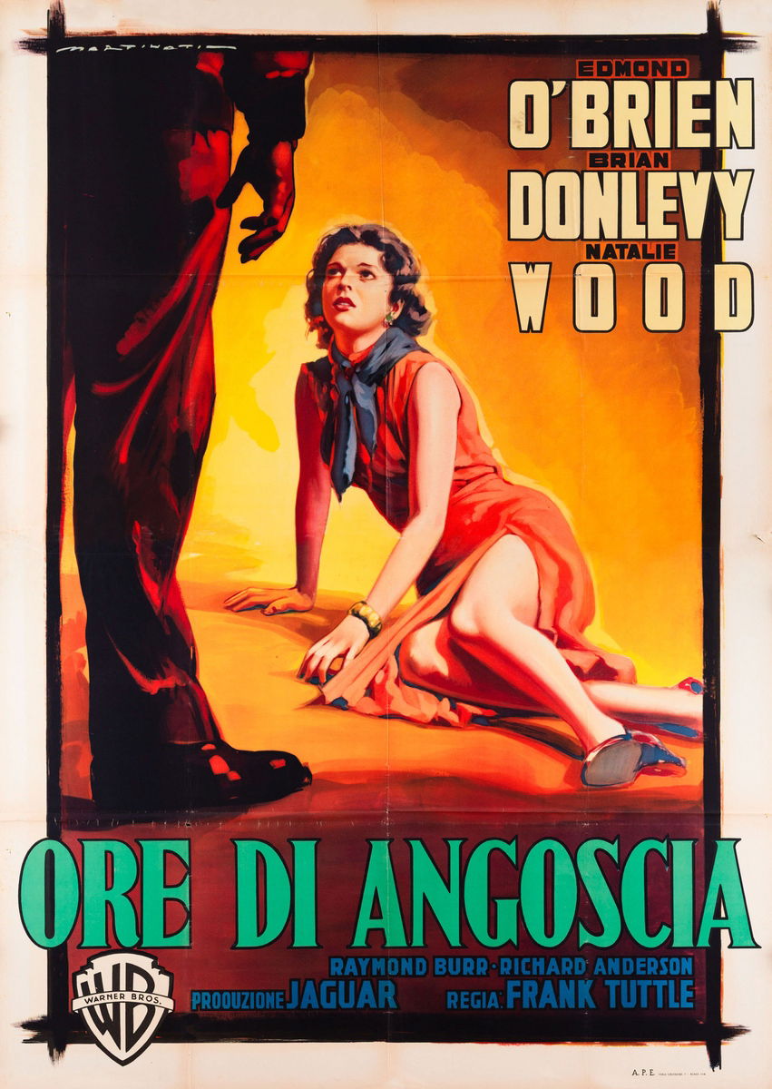 A Cry in the Night - Poster 1