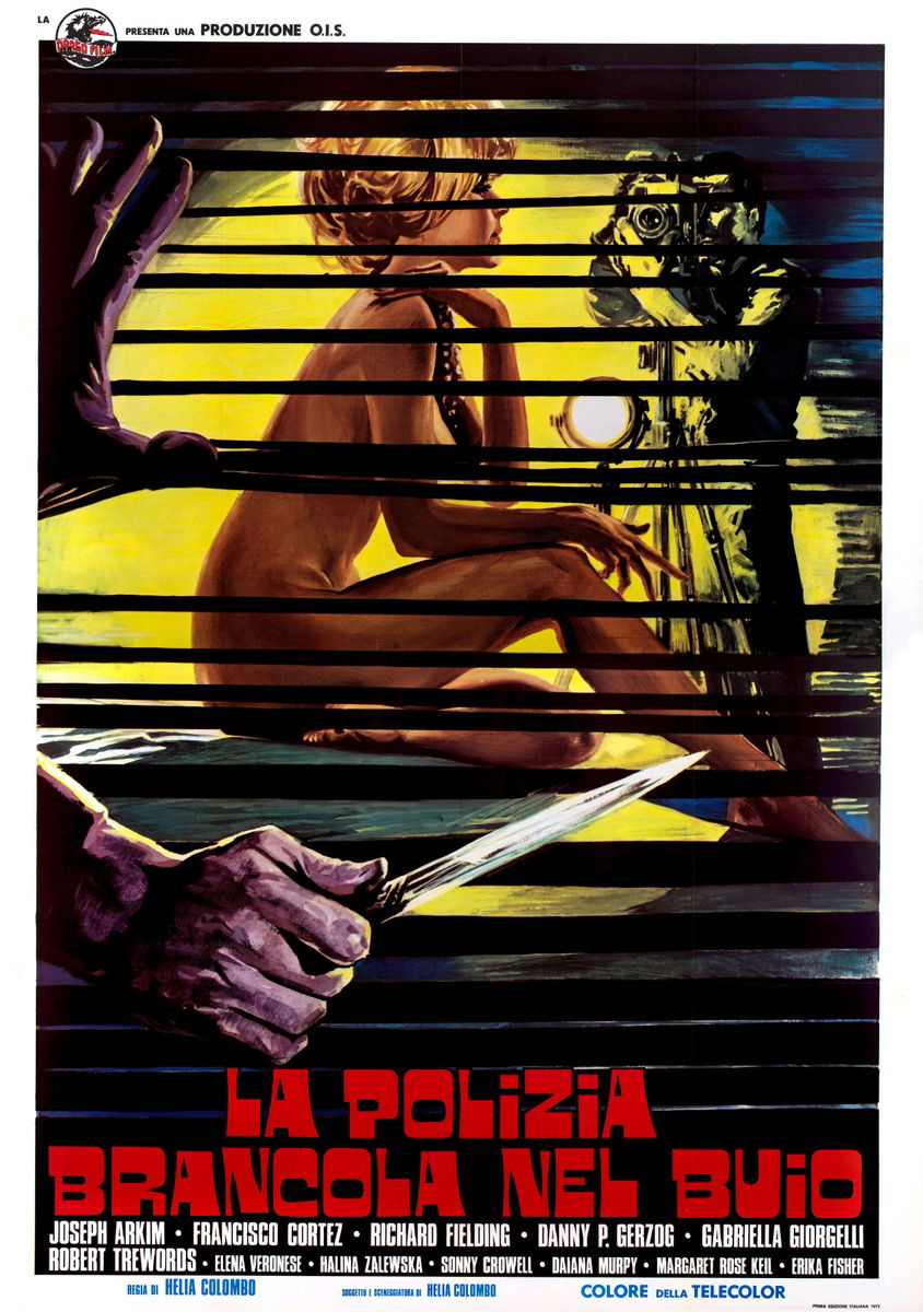 The Police Are Blundering in the Dark - Poster 1