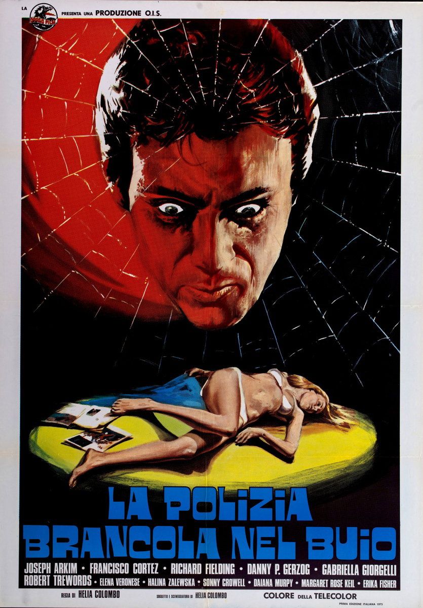 Poster 2 for the film The Police Are Blundering in the Dark (1975)