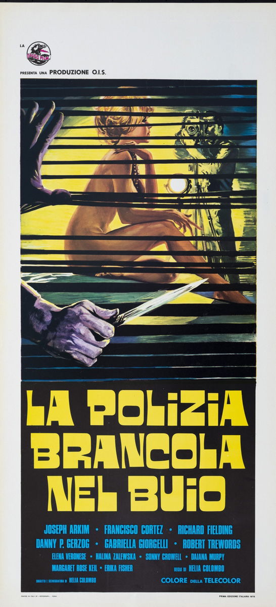 La polizia brancola nel buio - Locandina 1