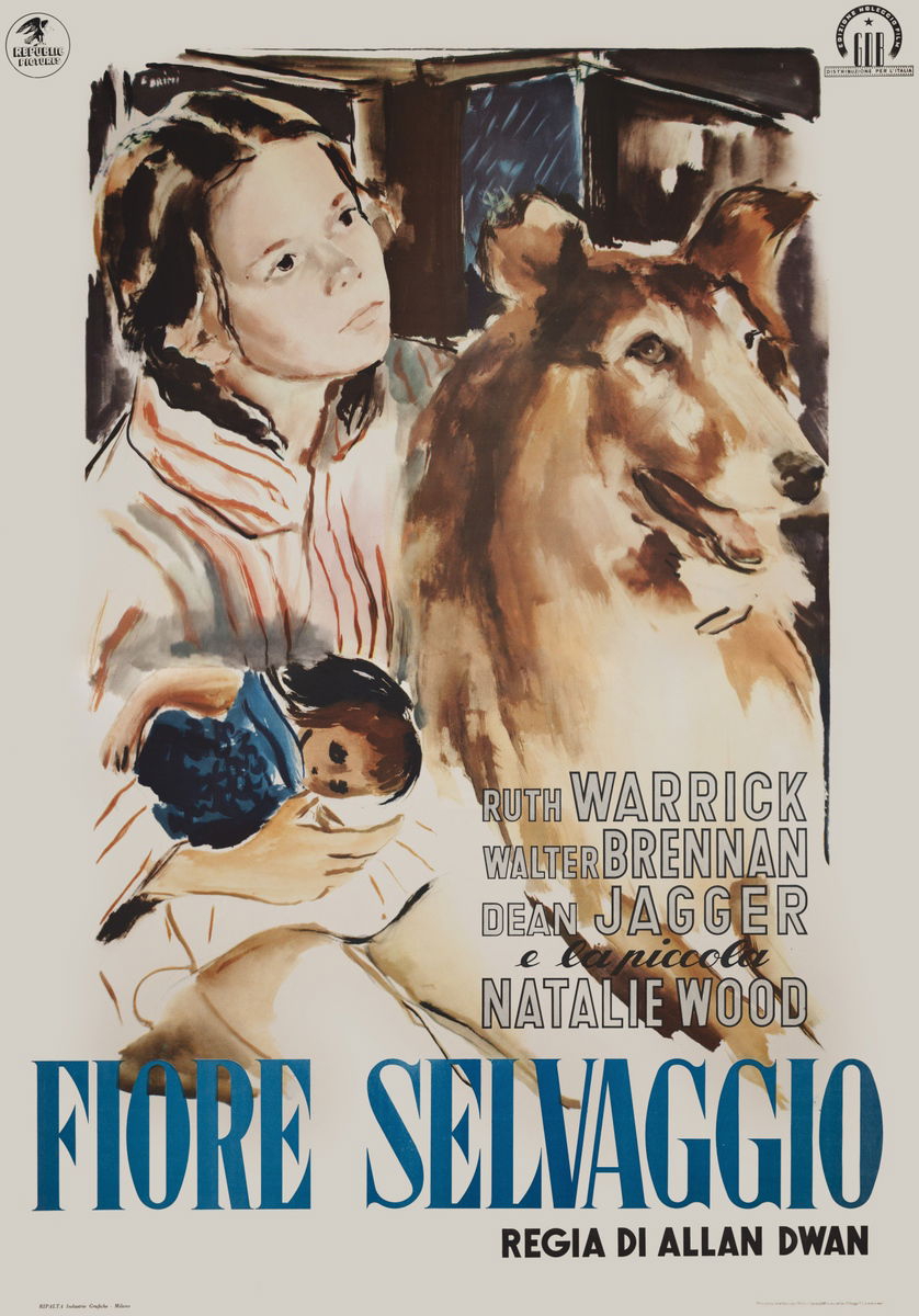 Driftwood - Poster 1