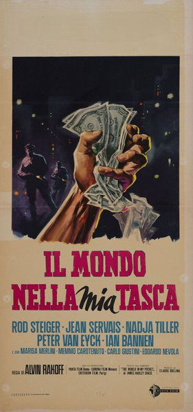 Il mondo nella mia tasca